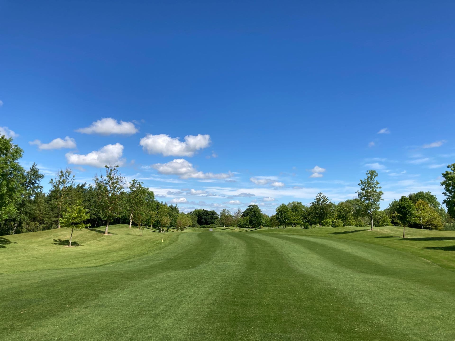 Golfers on a UK parkland course